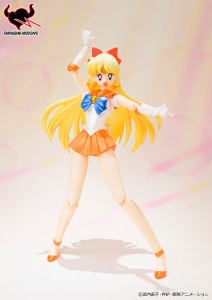 sailor venus